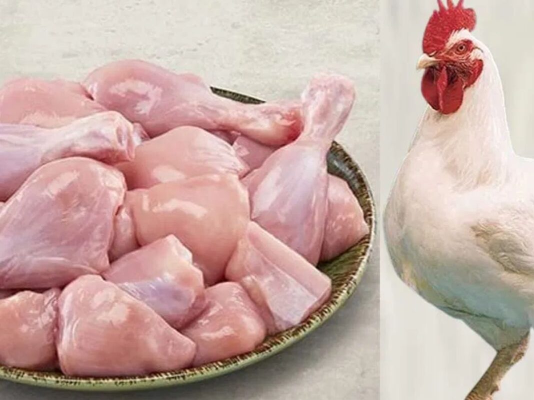 Heavy chicken prices… What is the kilo today?
– PARAHUSHAR NEWS