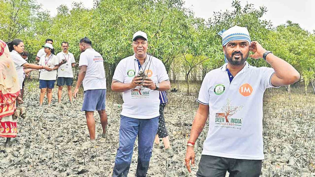 ఎల్లలు దాటిన గ్రీన్‌ ఇండియా
