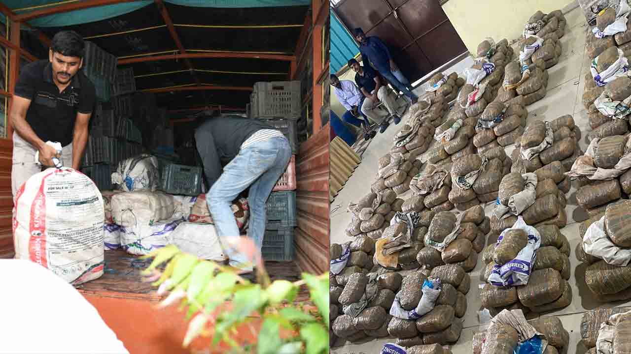 GANJA | 935 kg of marijuana in fruit trays .. 455 packets at Batasingaram Siege