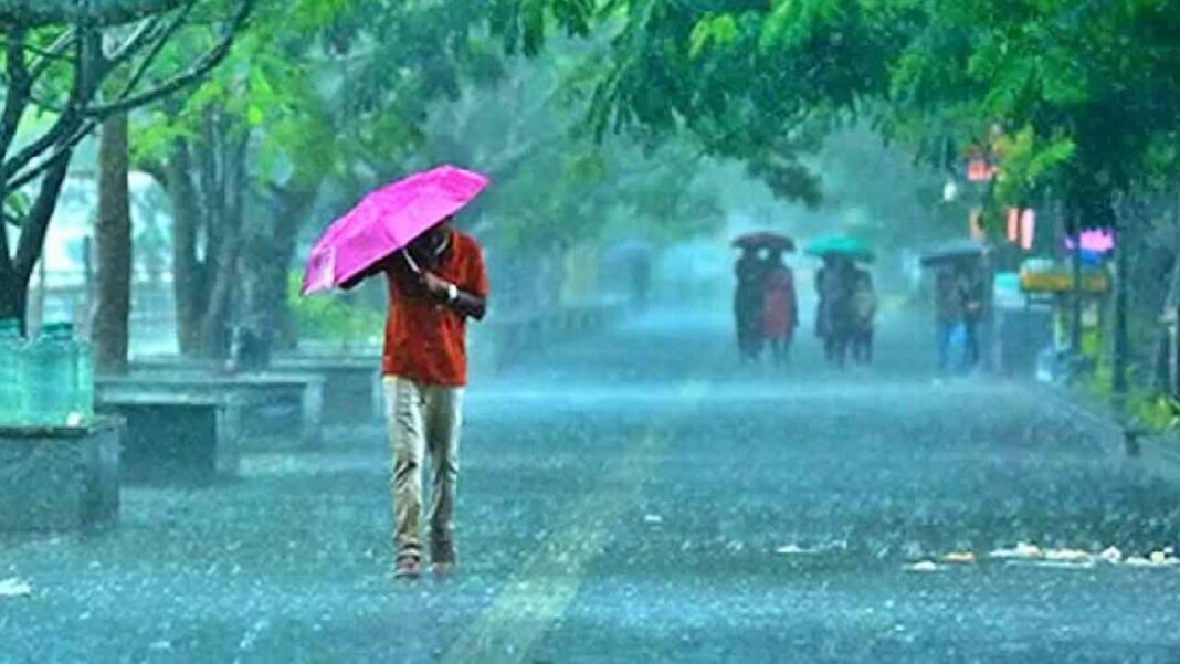 Heavy Rains | Most of these 12 districts
– PARAHUSHAR NEWS