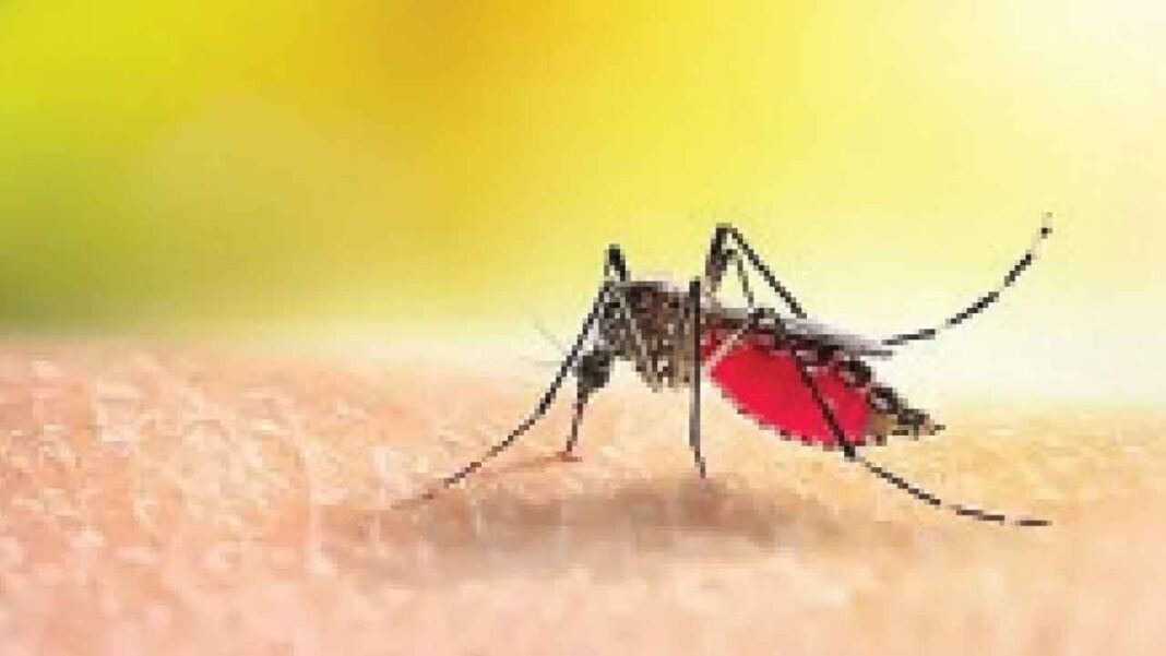 డెంగ్యూ రిస్క్ చేయడానికి చర్యలు తీసుకోండి
– PARAHUSHAR NEWS