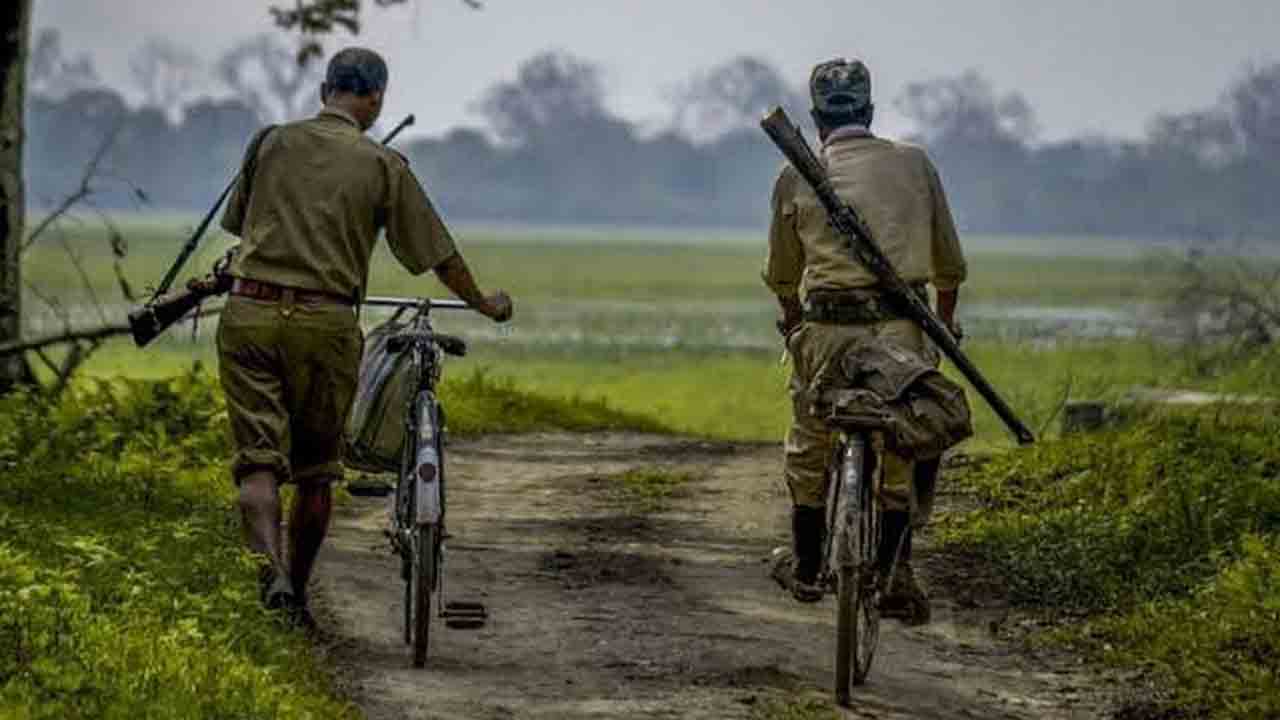 Action should be taken against Forest Officers