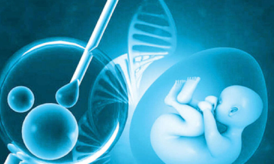 IVF పిండాల యొక్క జన్యు పరీక్ష 35 కంటే ఎక్కువ మహిళలకు వేగంగా గర్భం ధరించడానికి సహాయపడుతుంది: అధ్యయనం
– PARAHUSHAR NEWS
