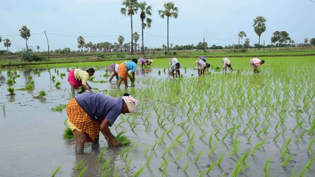 Tg govt ‘పునరుద్ధరణలు’ రితు బిమా, ట్వీక్స్ అర్హత నియమాలను
– PARAHUSHAR NEWS