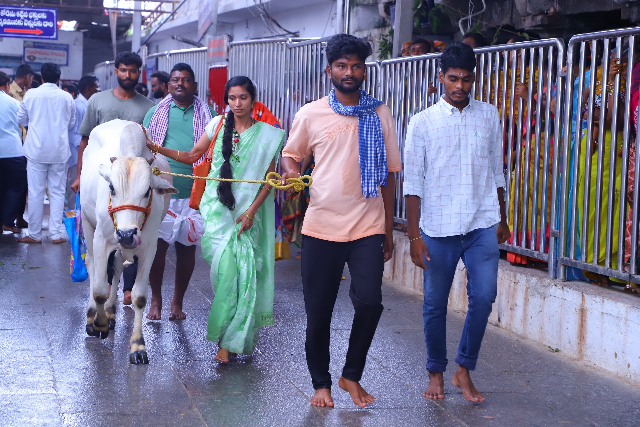 Vemulawada Raja Rajeshwara Swami Temple (5)