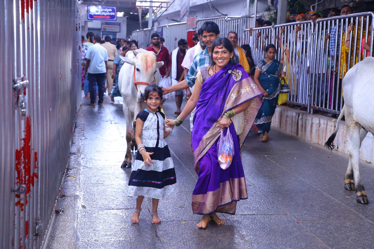 Vemulawada Raja Rajeshwara Swami Temple (6)