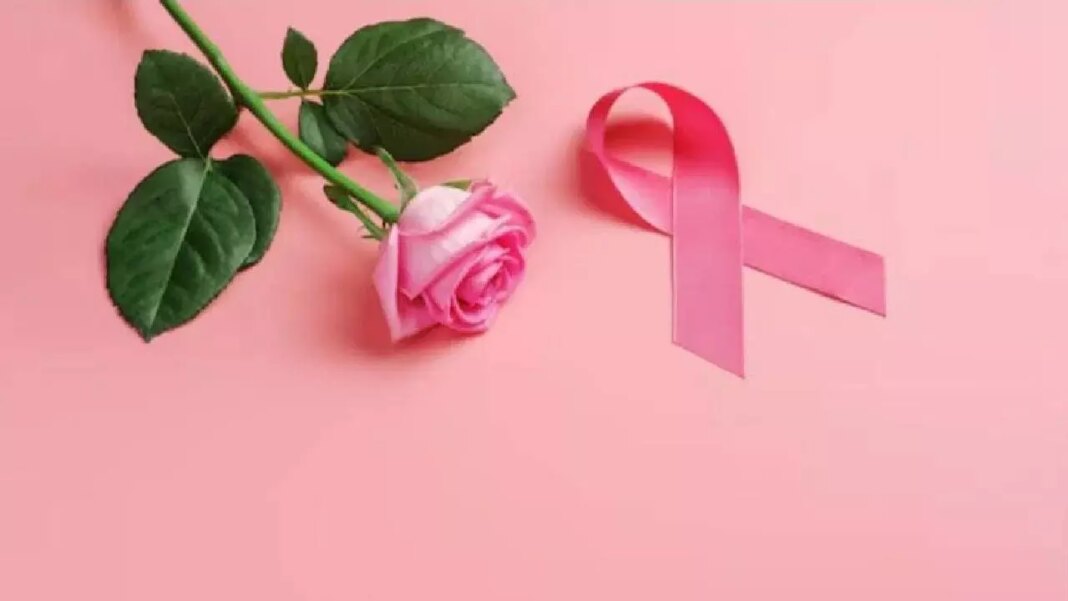 World Rose Day 2025: World Rose Day is not Lovers Day .. And for whom?
– PARAHUSHAR NEWS