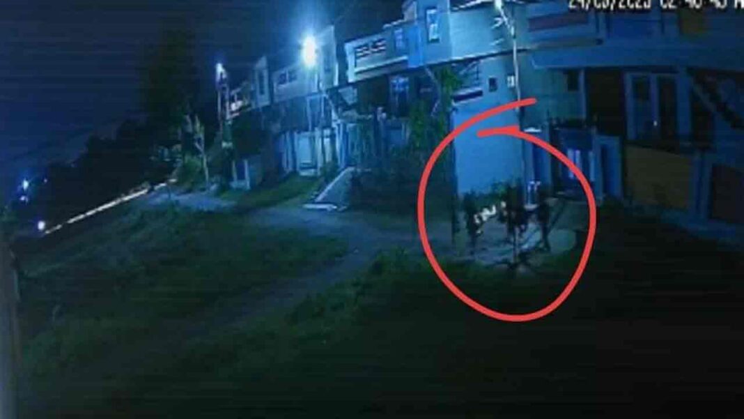 Cheddi gang | Cheddi Gang Hulchal in goodwill ..
– PARAHUSHAR NEWS