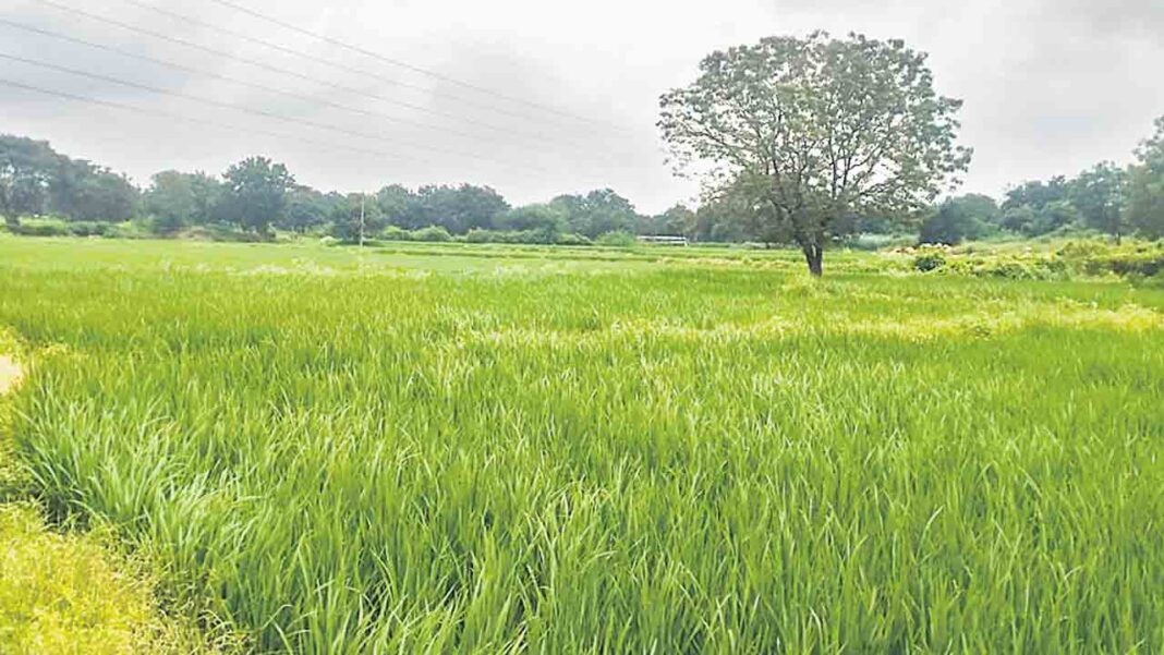 పేదల భూములే టార్గెట్‌.. బక్కరైతుల భూముల్లోనే ప్రభుత్వ ప్రాజెక్టులు