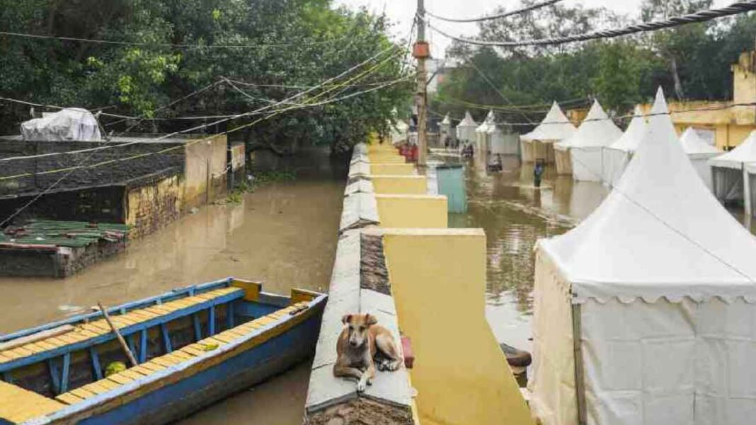 IAF హెలికాప్టర్లు హిమాచల్ లో 350 మంది యాత్రికులను ఖాళీ చేస్తాయి
