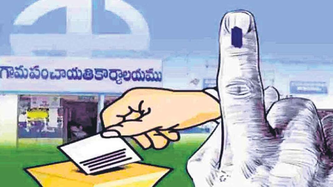 Local Body Elections 