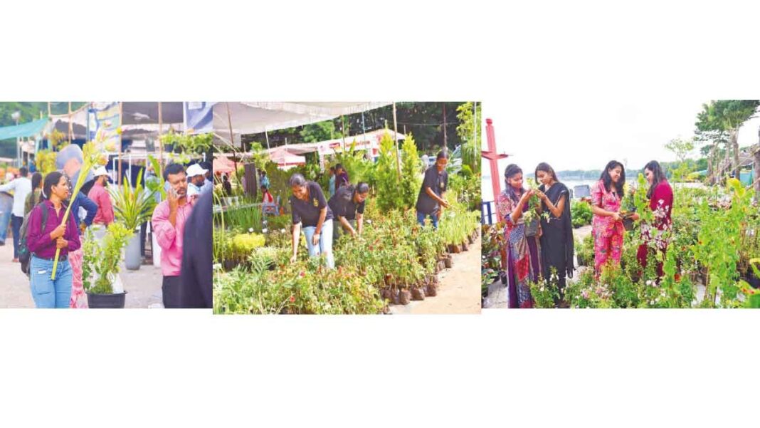 కళ్ళకు విందు… గ్రాండ్ నర్సరీ మేళా ప్రారంభమైనప్పుడు గ్రీన్ గ్లోరీలో హైదరాబాద్ బాస్కులు
– PARAHUSHAR NEWS