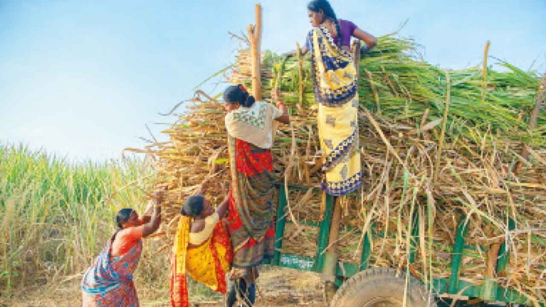 చక్కెర మిల్లు యజమాని కొడుకు, మరో నలుగురు బుక్
– PARAHUSHAR NEWS