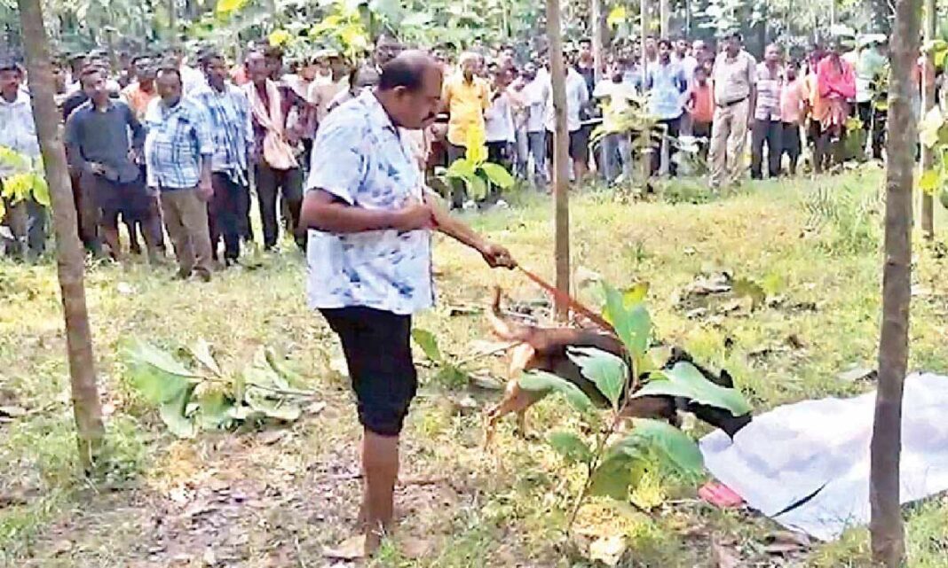 తప్పిపోయిన అమ్మాయి శరీరం కాలువలో కనుగొనబడింది
