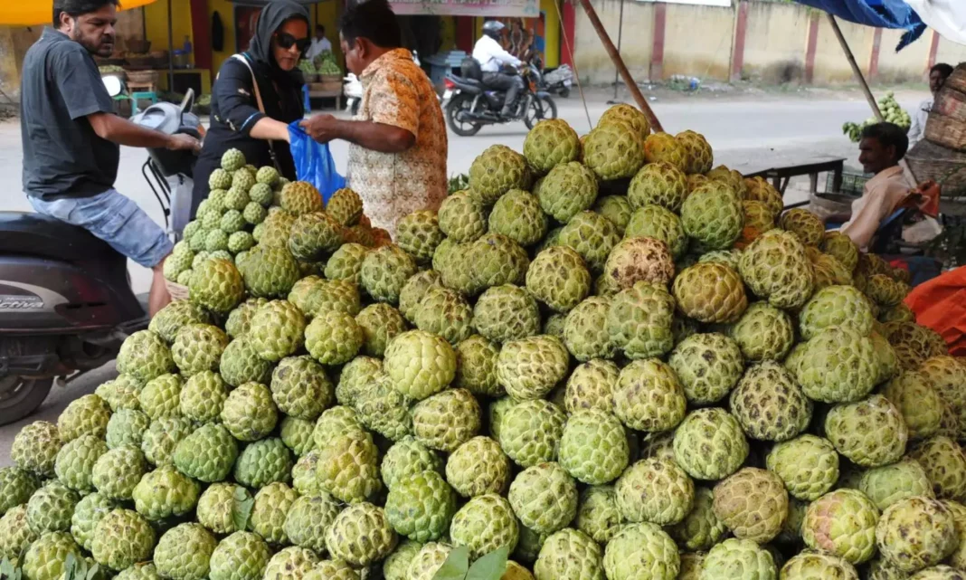 CUSTARD APPLE: Those who have this problem eat buttermilk ..
– PARAHUSHAR NEWS