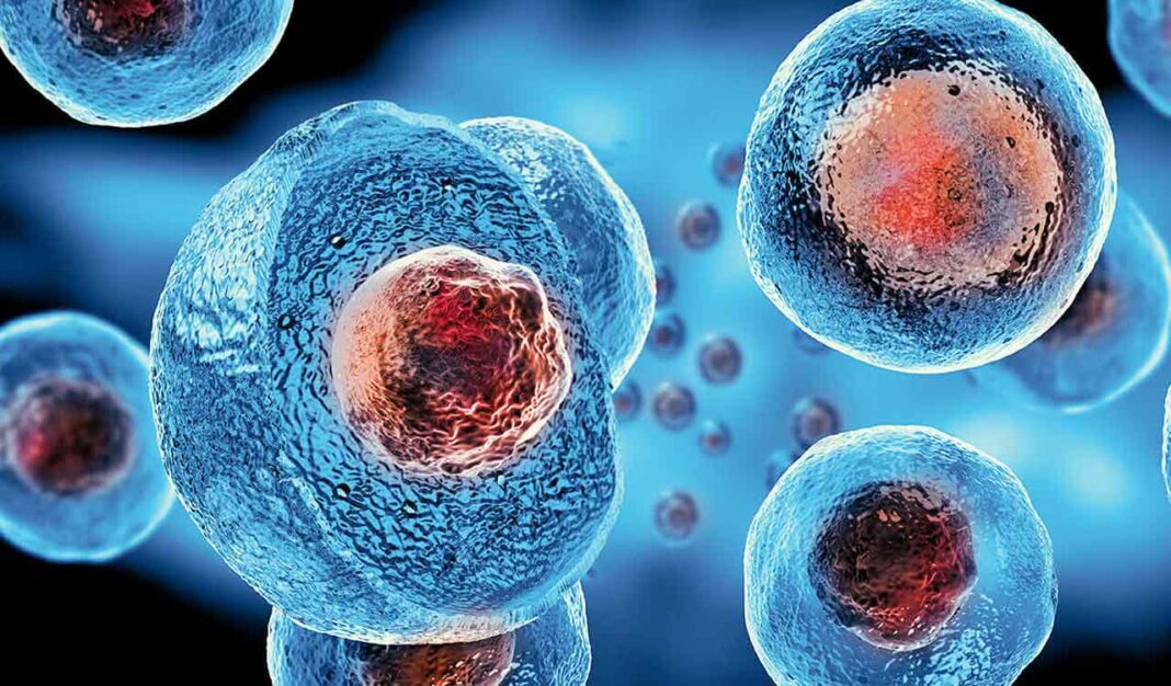 Stem cells sound magical, but they’re not all created equal