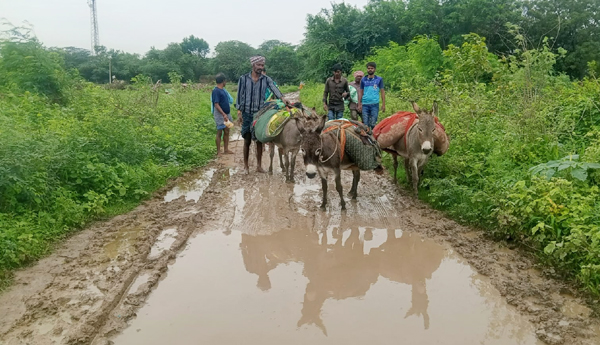 If it rains donkeys are the support – Prajasakti
– PARAHUSHAR NEWS