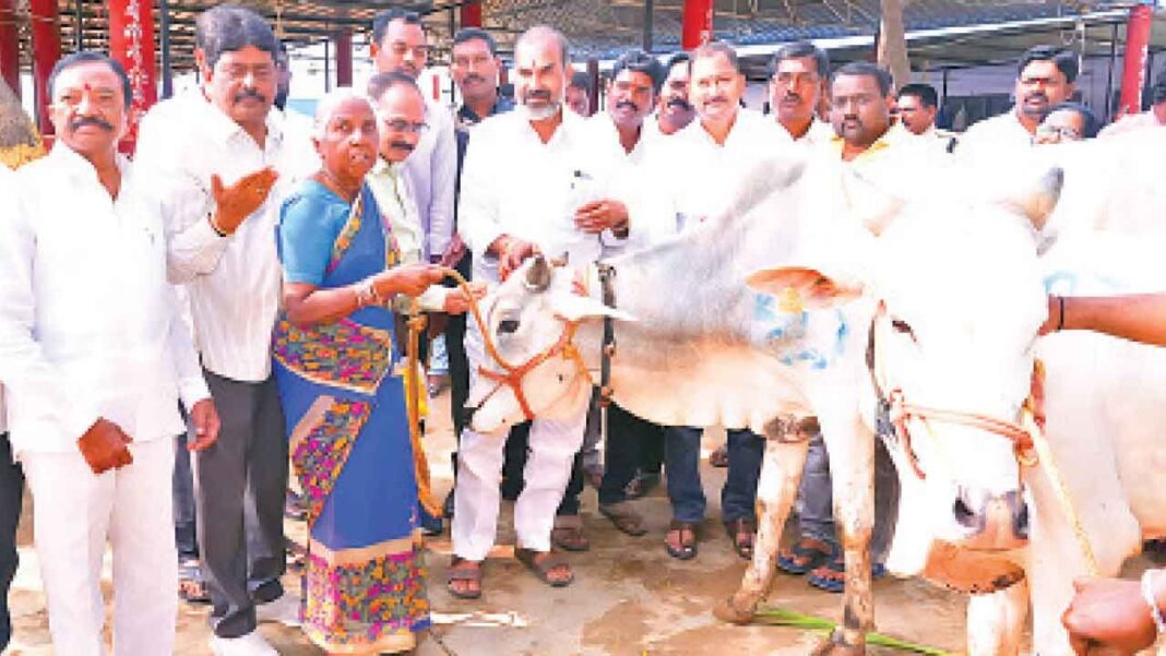 ఆది శ్రీనివాస్ 200 గుడి ఎద్దులను రైతులకు పంపిణీ చేశారు
– PARAHUSHAR NEWS