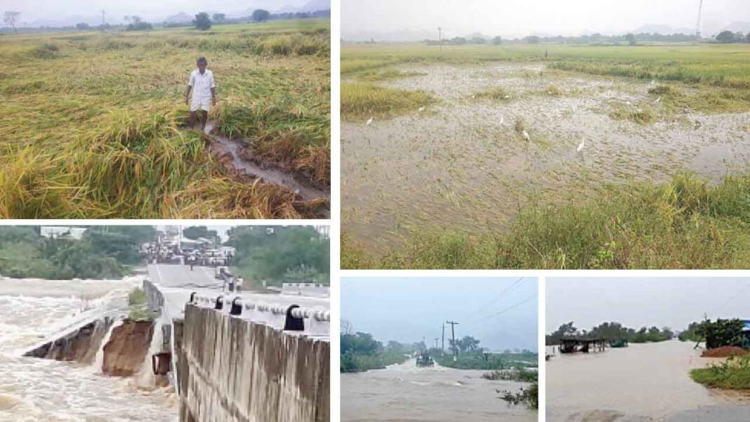 పాలమూరులో వర్షాలు అపార నష్టం కలిగిస్తున్నాయి
