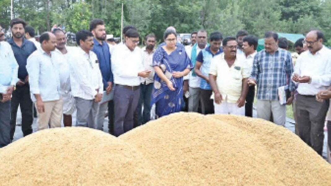 వరి సేకరణను క్రమబద్ధీకరించాలి: డీసీ అభిలాష
