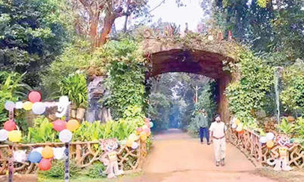 సిమిలిపాల్ టైగర్ రిజర్వ్ పర్యాటకుల కోసం తిరిగి తెరవబడింది
