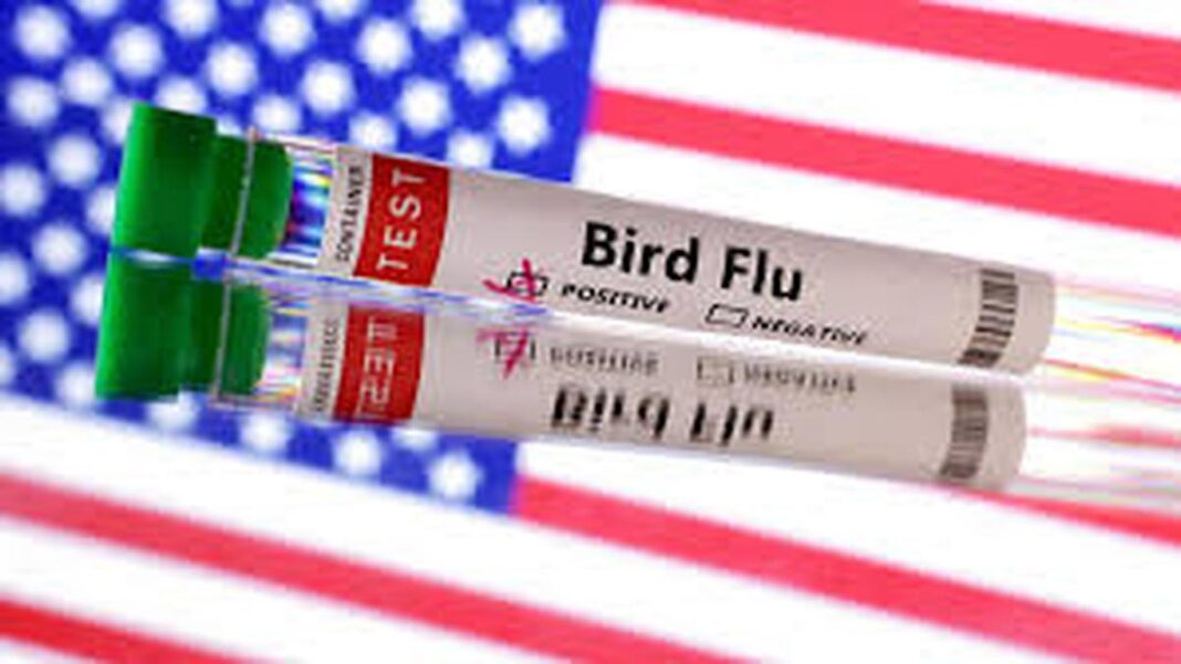H5N5 సోకిన US నివాసి — వేరే రకం బర్డ్ ఫ్లూ
– PARAHUSHAR NEWS
