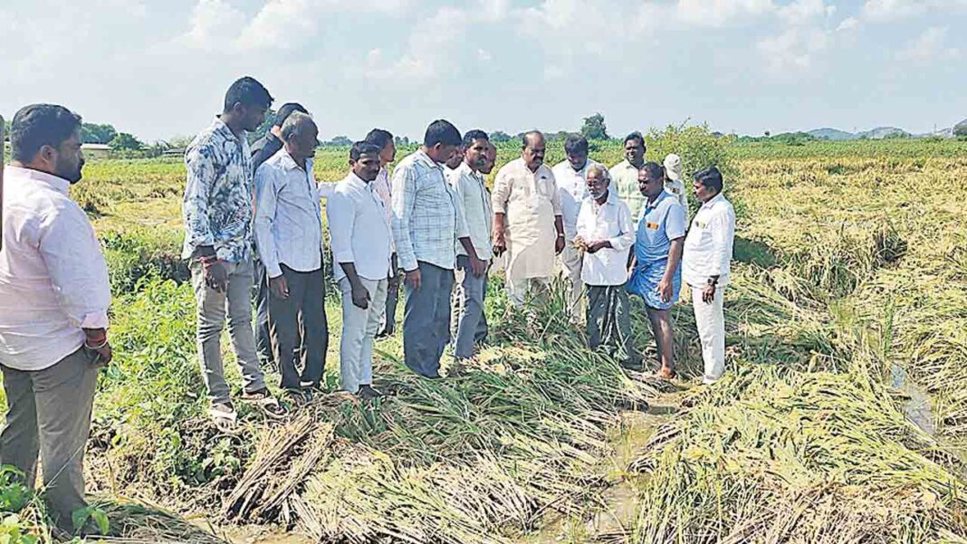 రైతు కన్నీరు తుడవని సర్కారెందుకు?.. తెలంగాణను వల్లకాడులా మార్చిన కాంగ్రెస్‌ సర్కారు: మధుసూదనాచారి