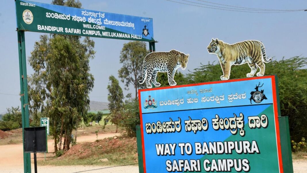 పులుల దాడులు: బందీపూర్, నాగరహోళేలో సఫారీని మూసివేయాలని కర్ణాటక మంత్రి ఆదేశించారు
