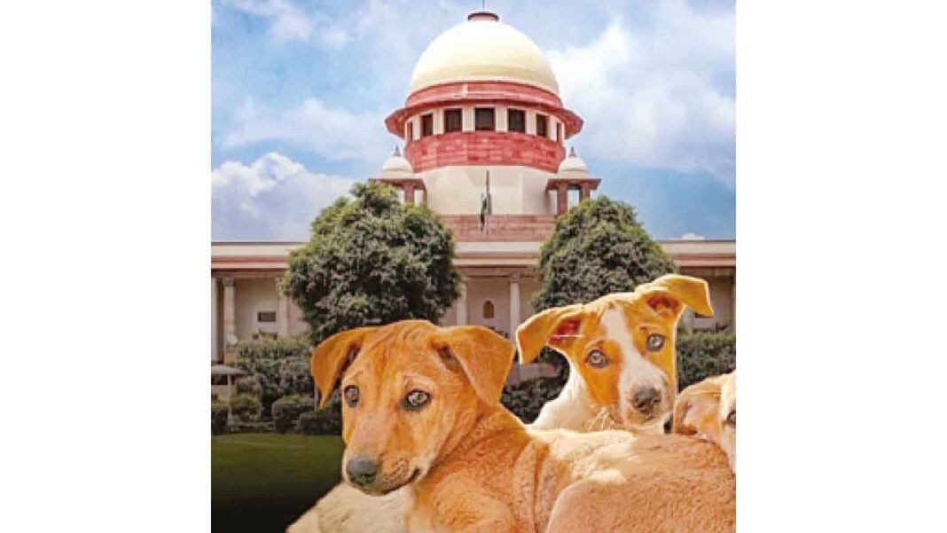 వీధి కుక్కల బెడదపై ఎస్సీ కఠినచర్యలు
– PARAHUSHAR NEWS