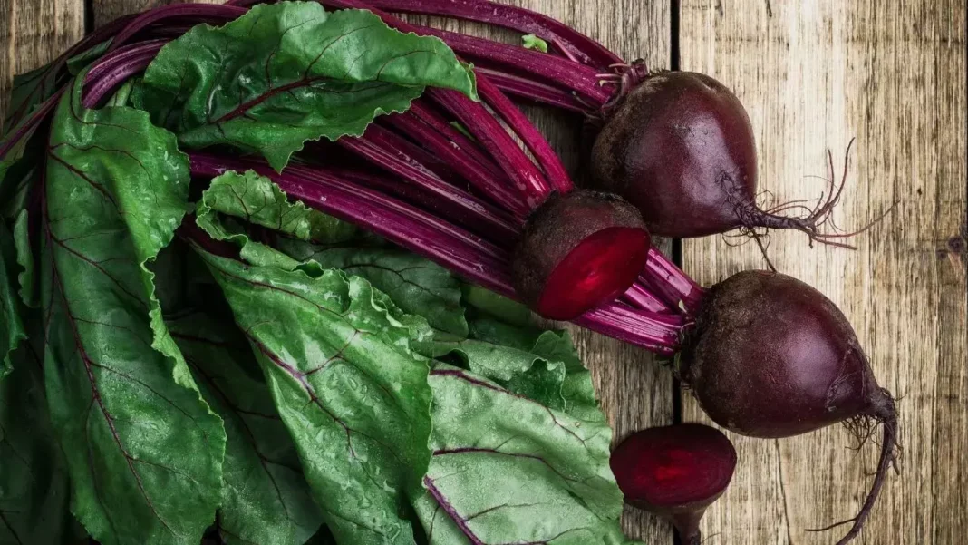Beetroot Leaves : There is no other easy tip to increase fertility.. Do you know this secret?
– PARAHUSHAR NEWS