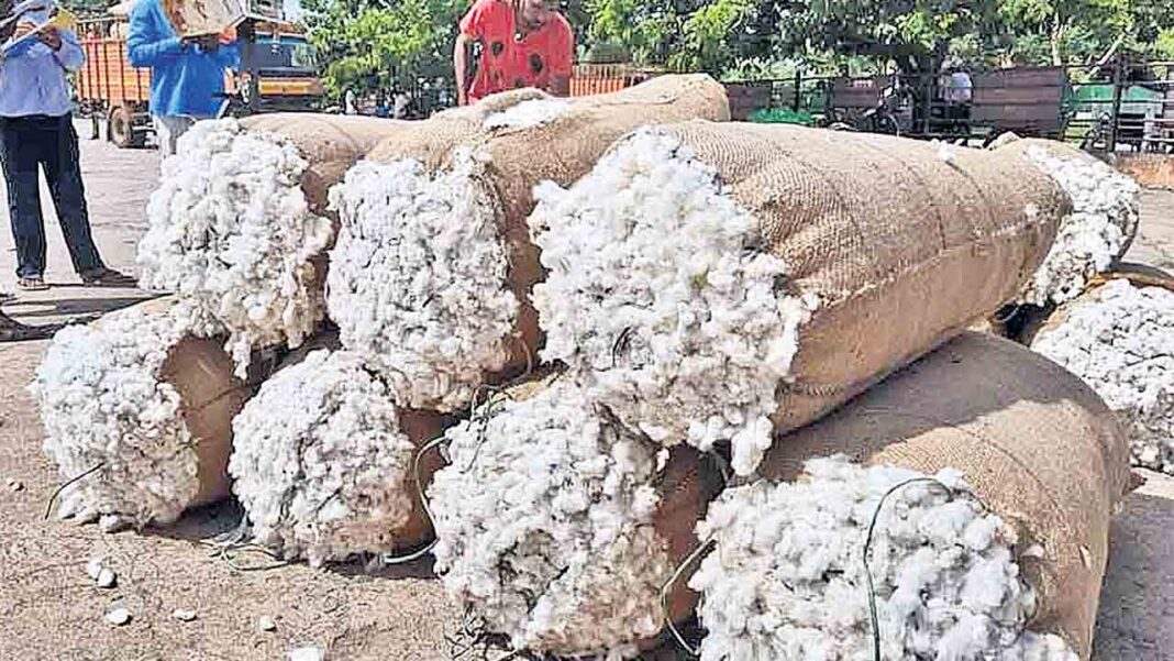 పత్తి కొనుగోళ్లలో బౌండరీ దందా?.. రాష్ట్రం యూనిట్‌గా పత్తి విక్రయాలను నిలిపేసిన సీసీఐ