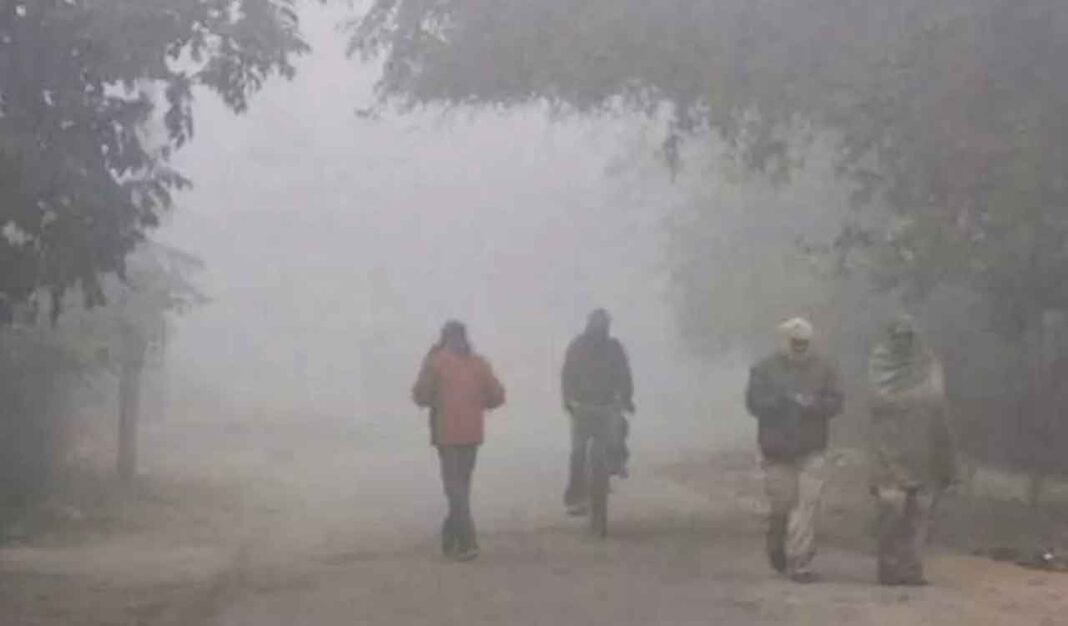 తెలంగాణలో మరో రెండు రోజులు చలిగాలులు: IMD
– PARAHUSHAR NEWS