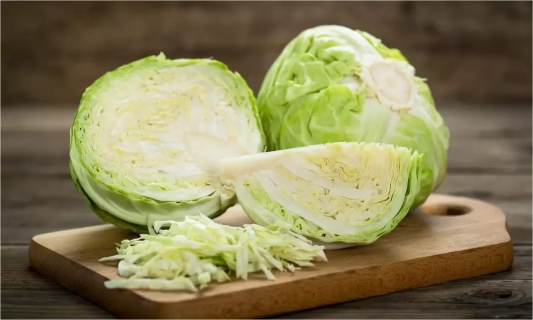 Cabbage Tapeworm: Eating Cabbage? If you don’t do this before cooking, you will die..!!
– PARAHUSHAR NEWS