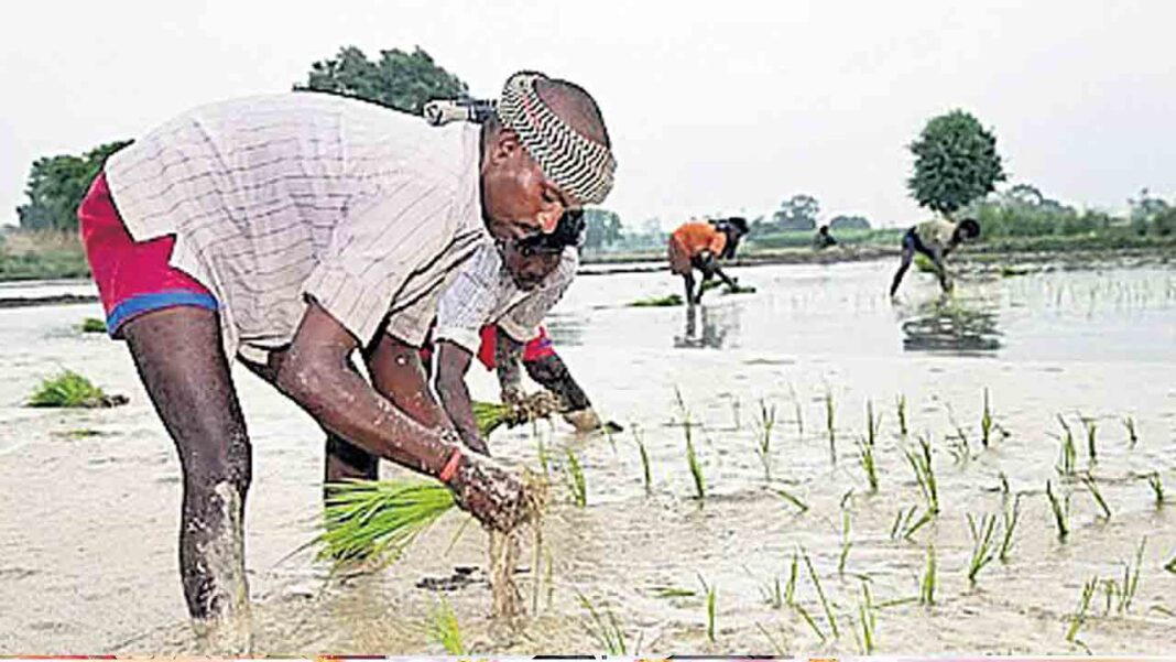 If the farmer is not assured!-Namasthe Telangana
– PARAHUSHAR NEWS