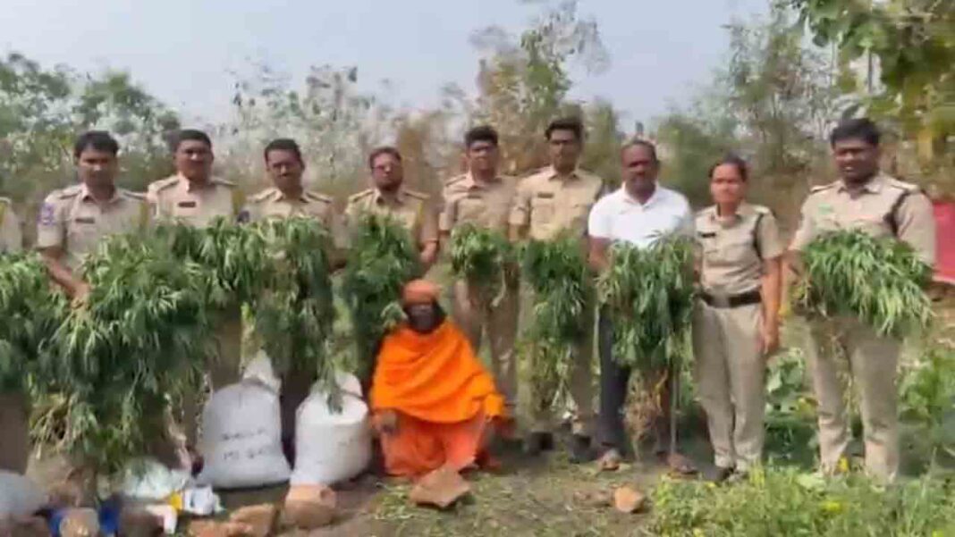 Marijuana plants in marigold forest.. Priest arrested.. Video-Namasthe Telangana
– PARAHUSHAR NEWS