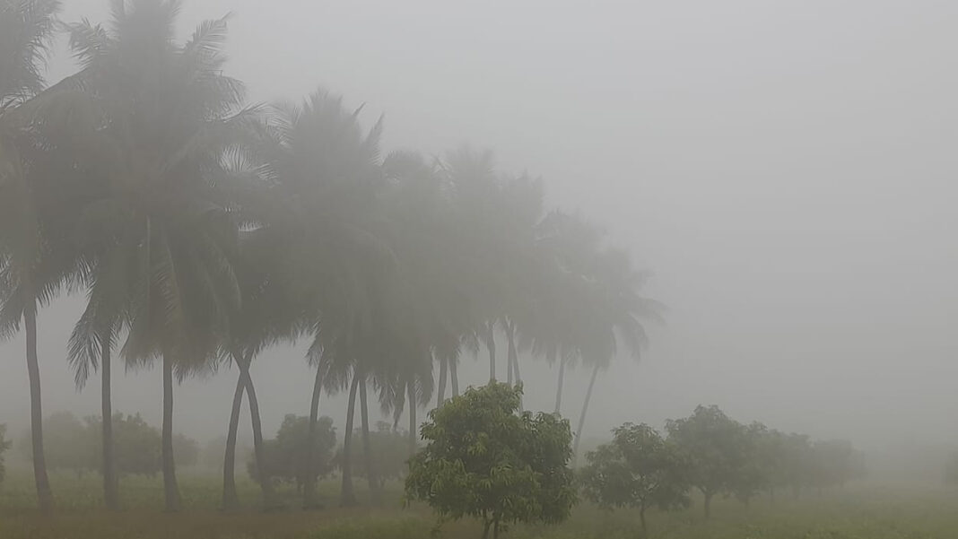 Thick fog 