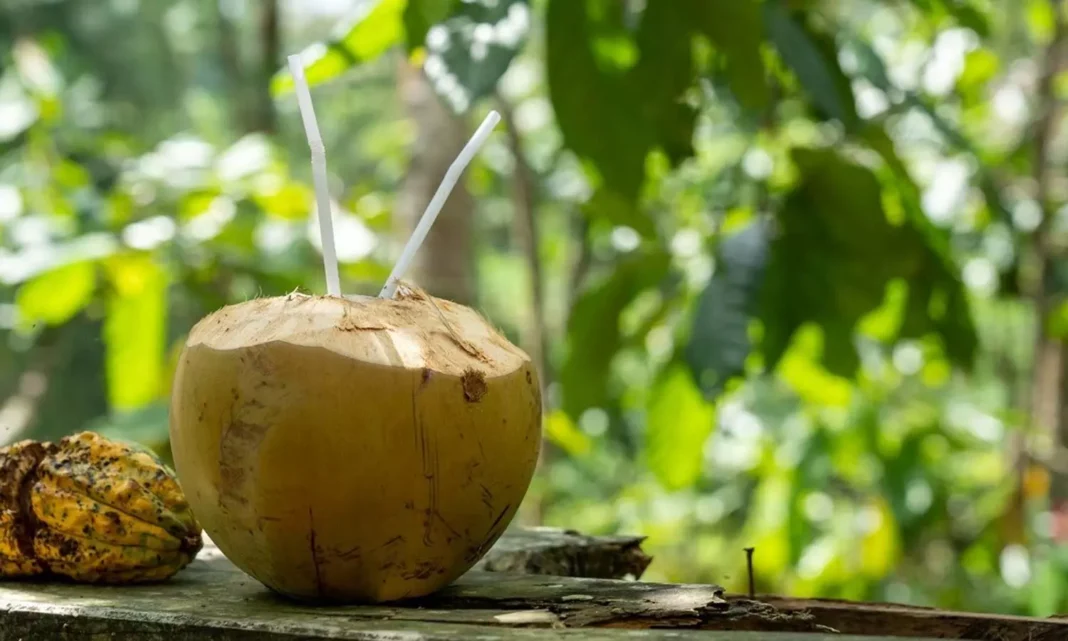 Coconut Water Side Effects: Be careful with coconut water.. There is a chance of these health problems!
– PARAHUSHAR NEWS