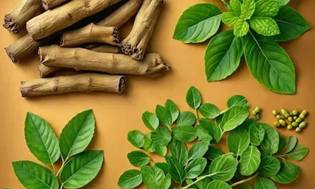 Health Tips: No need for medication! If you take these three daily, they will act as a ‘shield’ for your body
– PARAHUSHAR NEWS