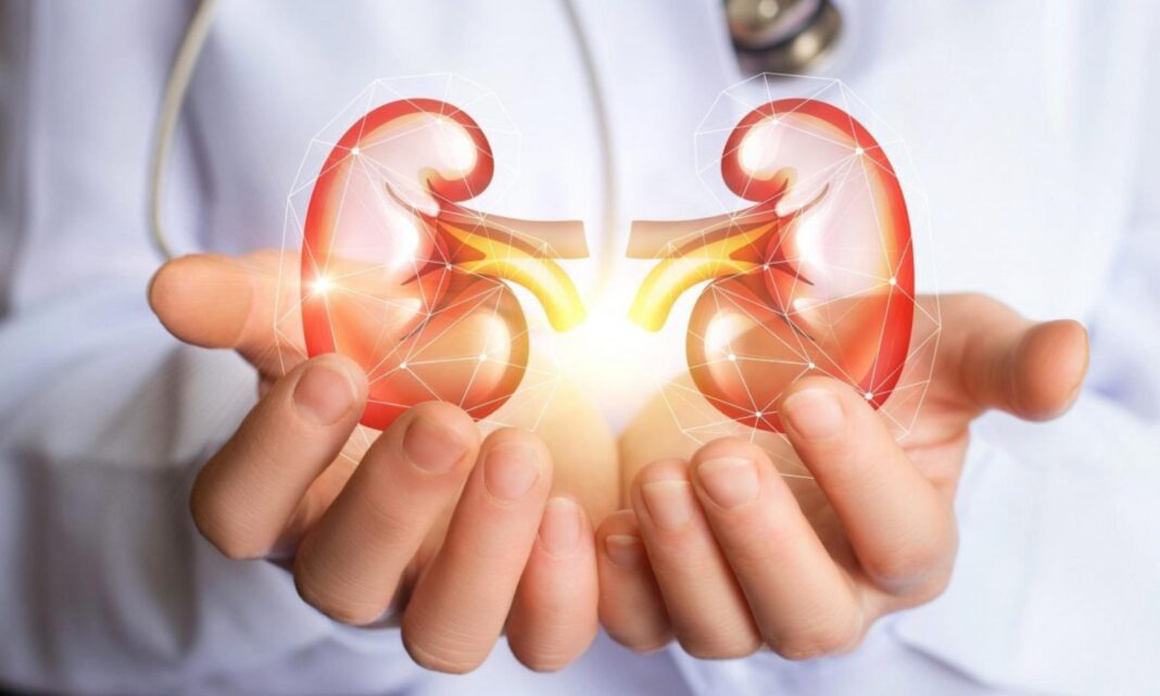 Kidney Health Tips: These mistakes you do knowingly can damage your kidneys.
