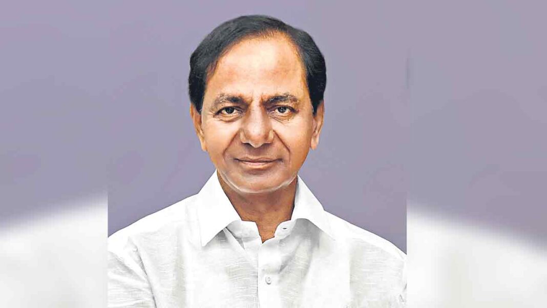 మహిళలు సామాజిక సంపద సృష్టికర్తలు