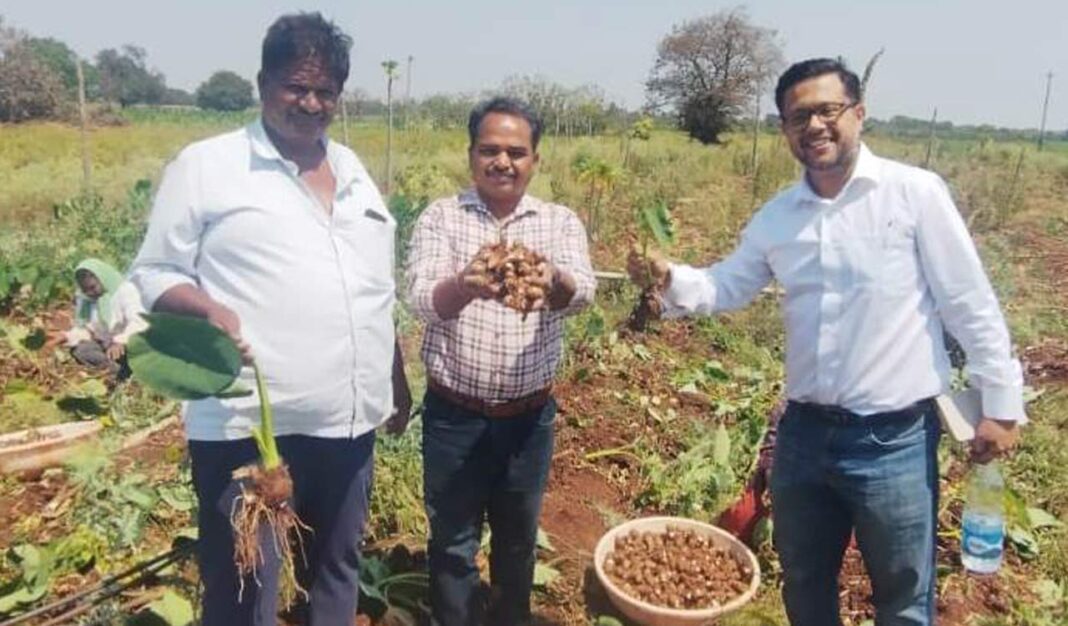 తెలంగాణ: సజ్జాపూర్ కొలోకాసియా GI ట్యాగ్ని పొందనుంది
– PARAHUSHAR NEWS