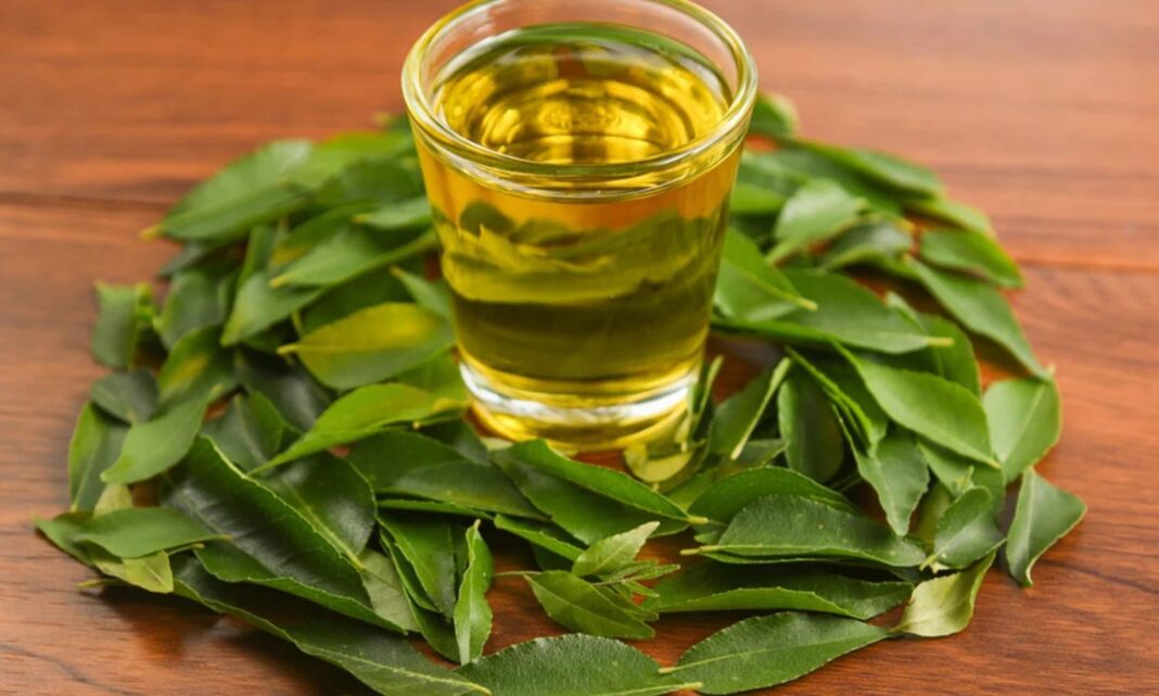 Hair: If the oil of these leaves is applied to the head.. Dandruff will stop!
– PARAHUSHAR NEWS