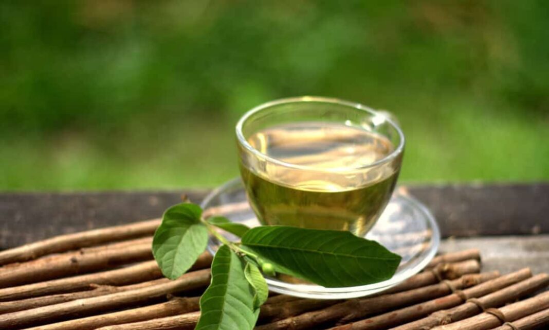 Health: But if you take this leaf tea daily...that problem will be gone!
