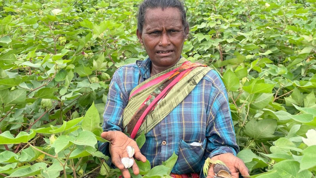 తమిళనాడు ఎన్నికలు 2026: మారుతున్న సమీకరణల మధ్య కోస్టల్ నాగపట్టణం నియోజకవర్గంలో గట్టి పోటీ
– PARAHUSHAR NEWS