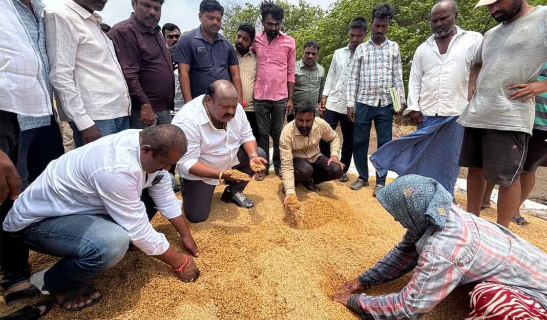 బిఆర్ఎస్ కలెక్టర్ వద్ద ధర్నా, నానబెట్టిన వరితో కలెక్టర్ కార్యాలయాలను కలుపుతామని హెచ్చరించారు
– PARAHUSHAR NEWS