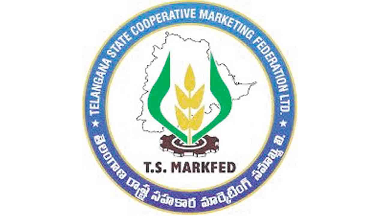 The tenders of Markfed Mecca are canceled!.. Officials said that the price was low