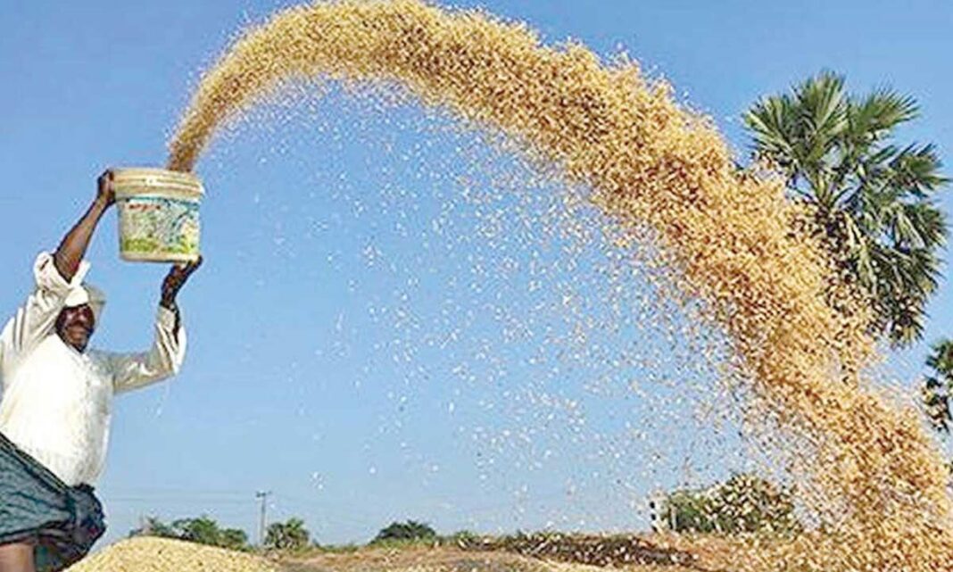 TG 23 LMT వరిని కొనుగోలు చేస్తుంది, రైతులకు రూ 3,166 కోట్లు విడుదల చేసింది
– PARAHUSHAR NEWS