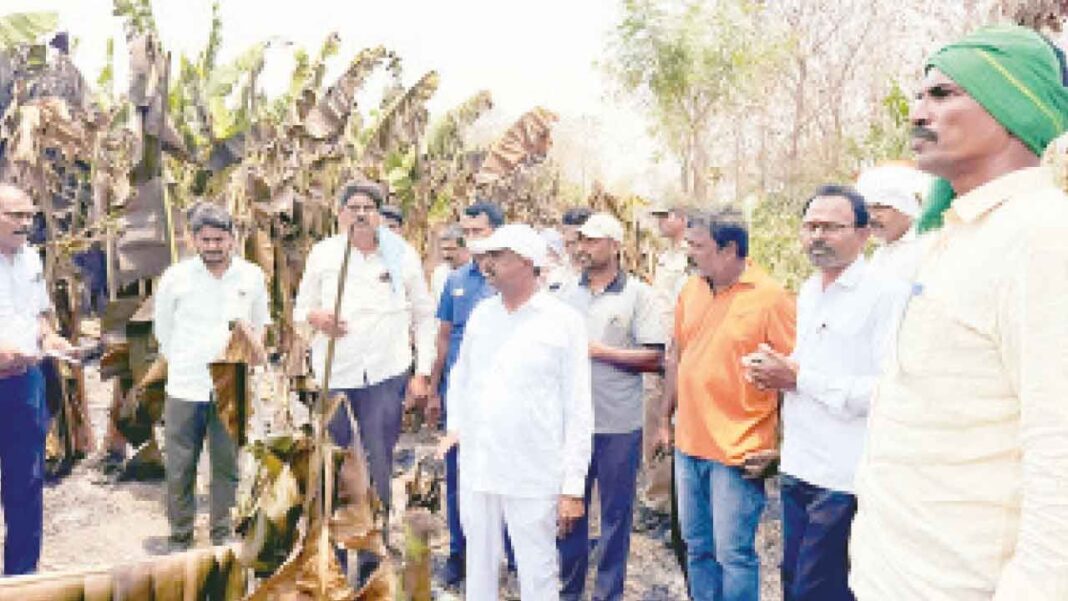 అగ్ని ప్రమాదాల్లో కాలిపోయిన పంటలను ఎమ్మెల్యే గండ్ర పరిశీలించారు
