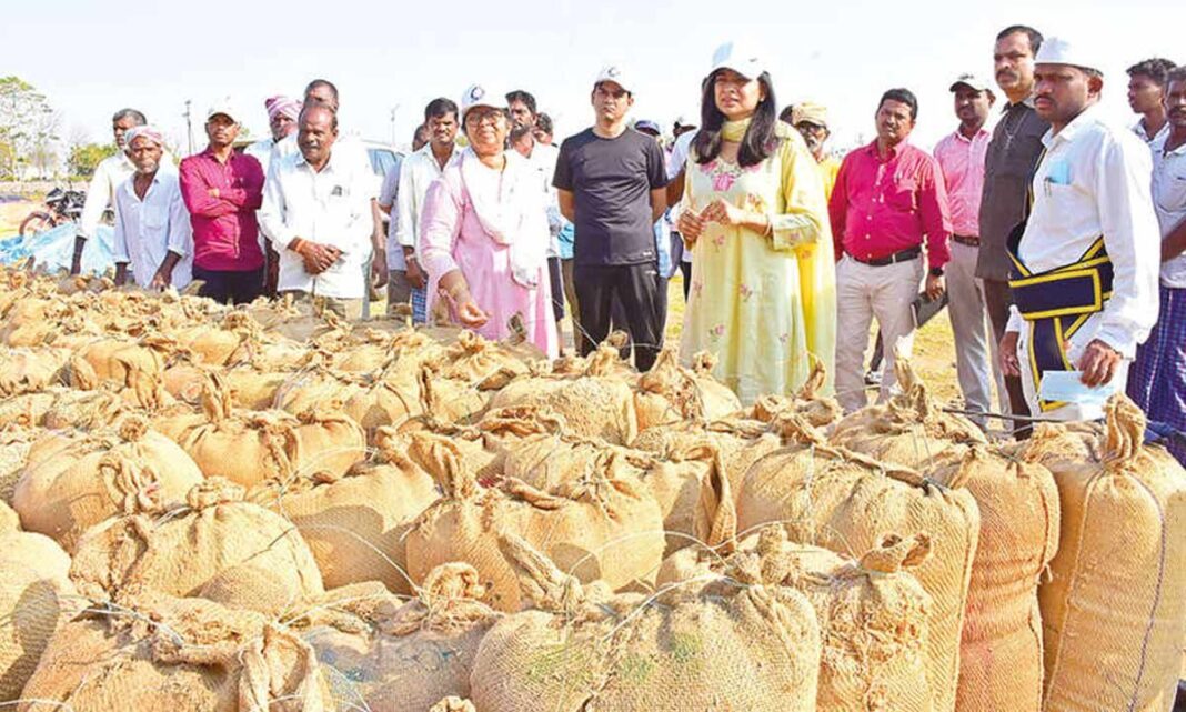 వరి సేకరణ కార్యకలాపాలను క్రమబద్ధీకరించేందుకు ప్రత్యేక అధికారులు
