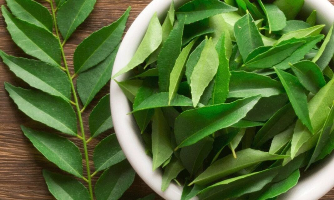 Curry Leaves: Do not remove curry leaves.. If you know the benefits, you will not leave them at all..
– PARAHUSHAR NEWS